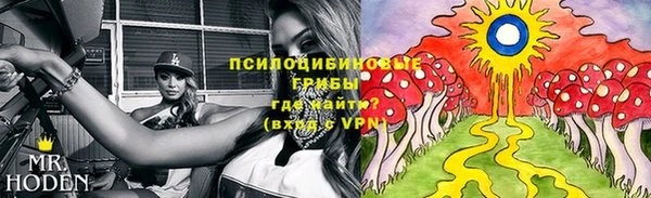 марки nbome Ладушкин