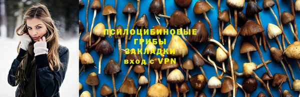 метадон Лагань