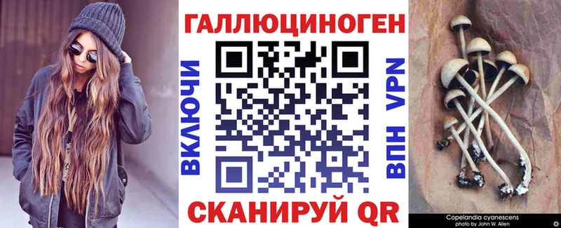 Купить закладки  Улан-Удэ  Псилоцибиновые грибы GOLDEN TEACHER 